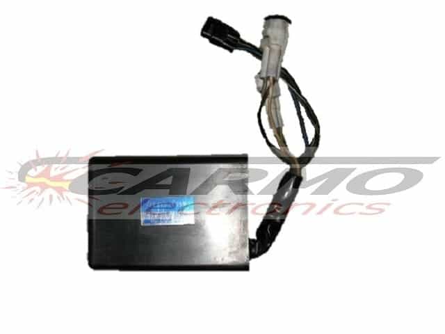 KLX250 (21119-1381, 21119-1399) CDI computer controller ECU